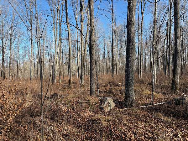 151 Acres of Land for Sale in Nashville Town, Wisconsin