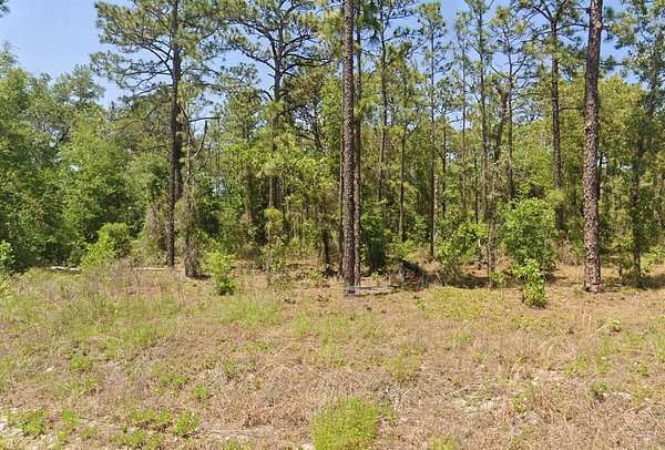 0.24 Acres of Residential Land for Sale in Dunnellon, Florida