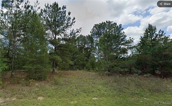 0.38 Acres of Land for Sale in Dunnellon, Florida