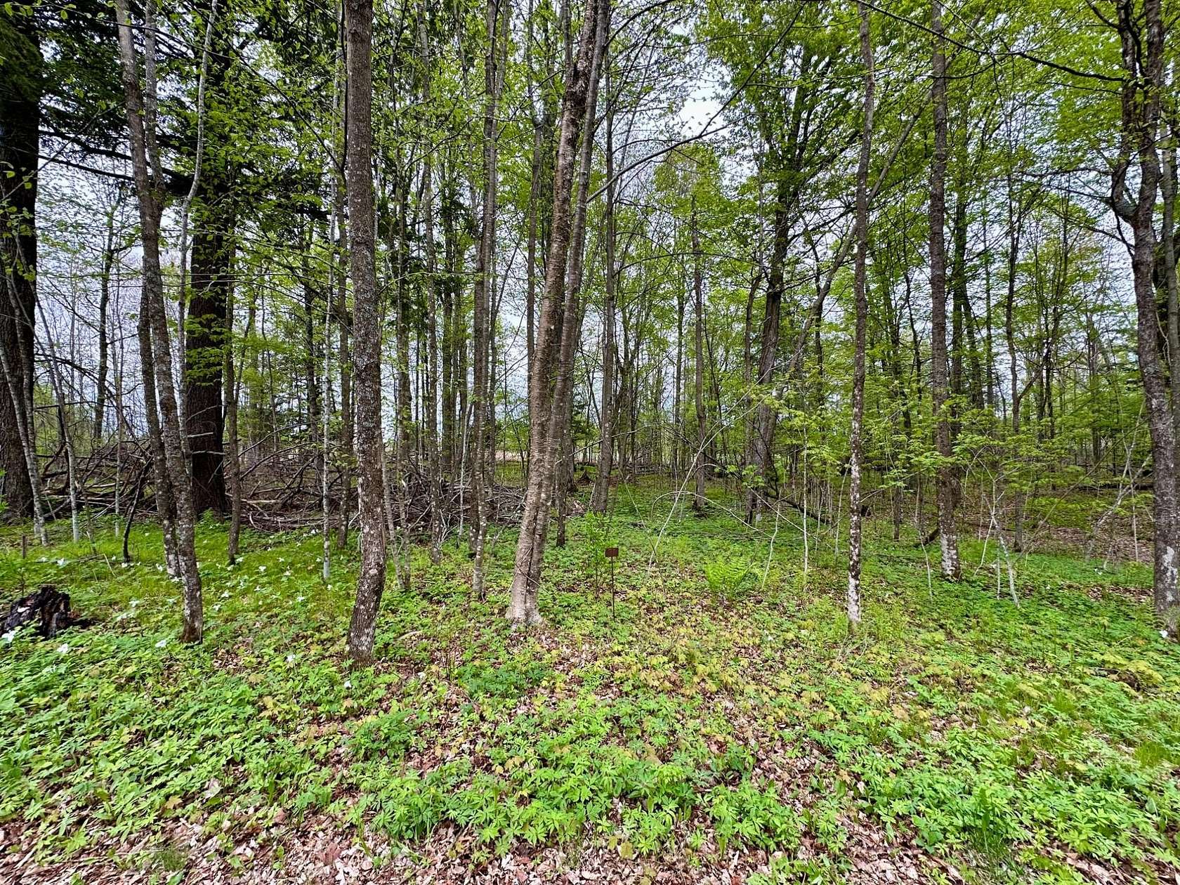 1 Acre of Residential Land for Sale in Pickerel, Wisconsin