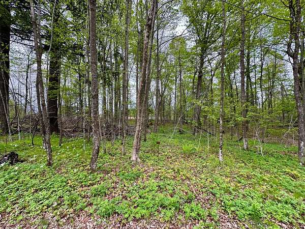 1 Acre of Residential Land for Sale in Pickerel, Wisconsin