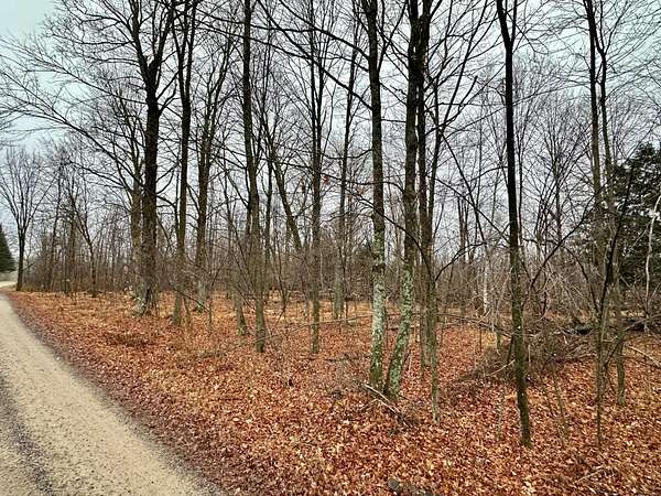 1 Acre of Residential Land for Sale in Pickerel, Wisconsin