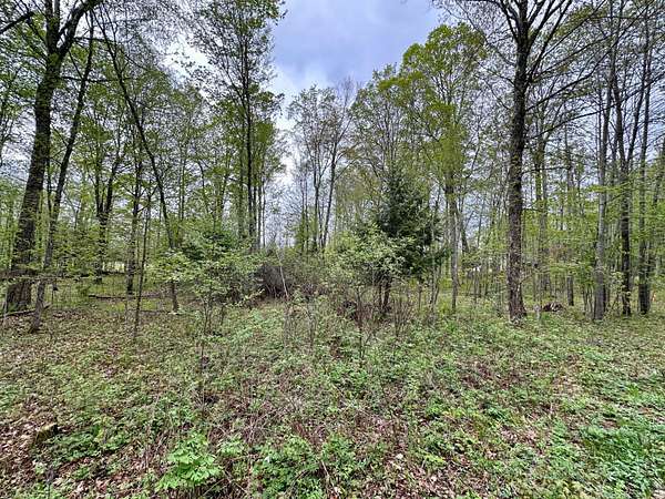 1 Acre of Residential Land for Sale in Pickerel, Wisconsin