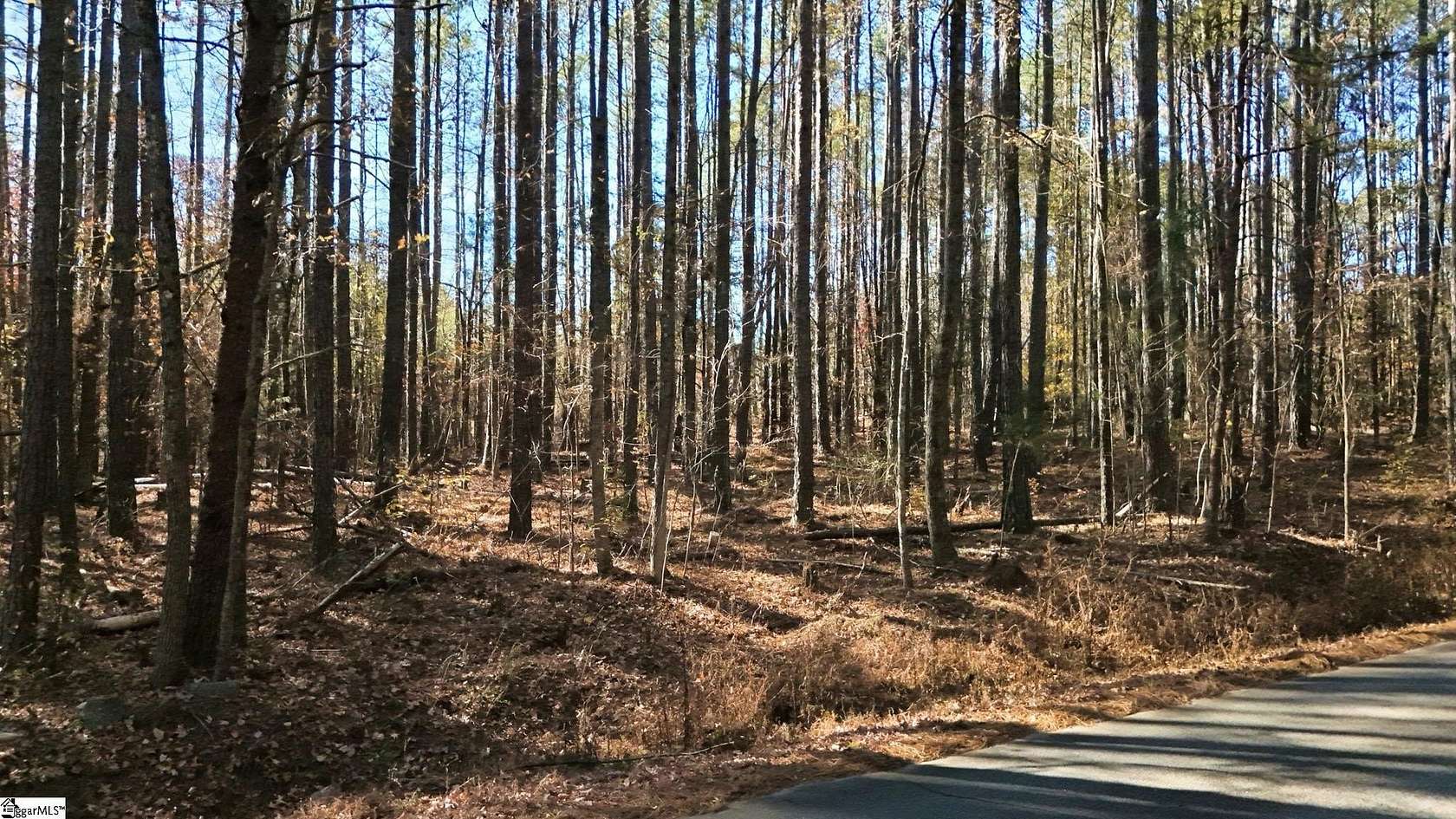 1.63 Acres of Residential Land for Sale in Enoree, South Carolina