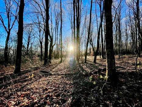 115 Acres of Recreational Land for Sale in McGraw, New York