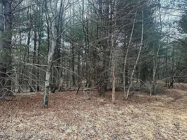 0.55 Acres of Residential Land for Auction in Stroudsburg, Pennsylvania