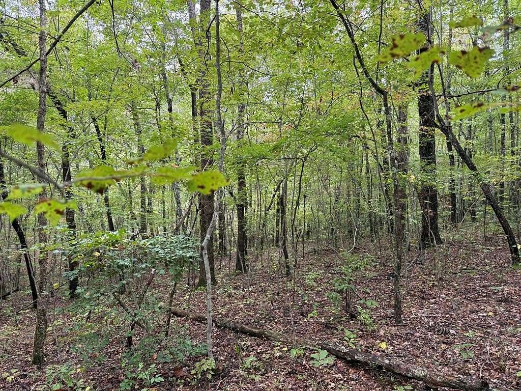 4 Acres of Residential Land for Sale in Monterey, Tennessee