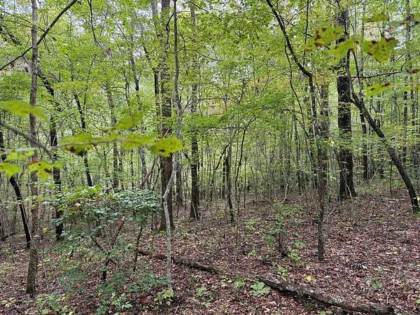 4 Acres of Residential Land for Sale in Monterey, Tennessee