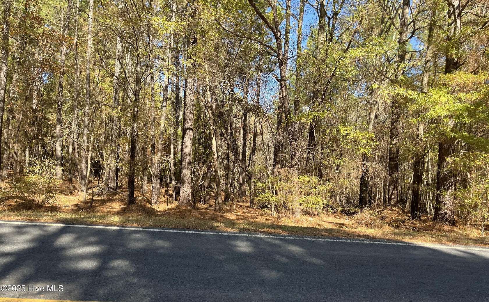 1.26 Acres of Residential Land for Sale in Wadesboro, North Carolina