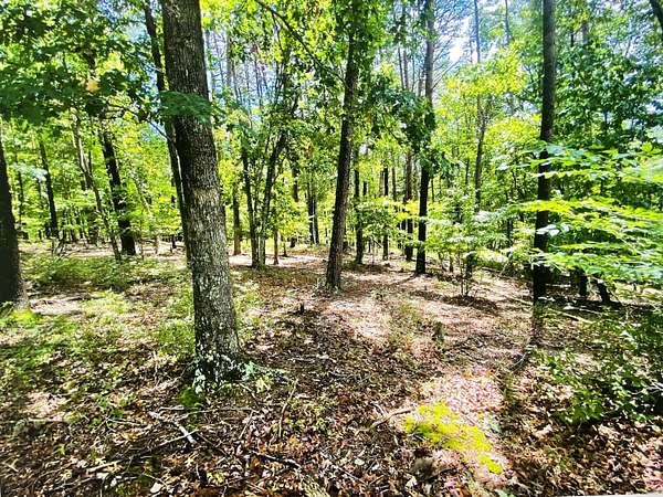1 Acre of Land for Sale in Pittsville, Virginia