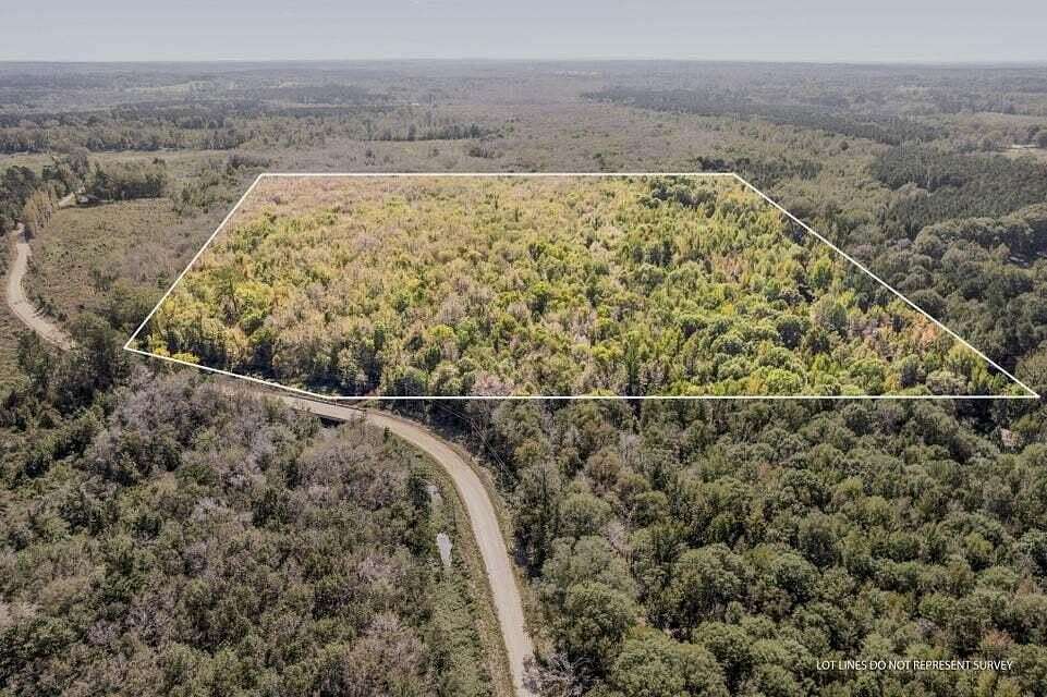40 Acres of Land for Sale in Union, Mississippi
