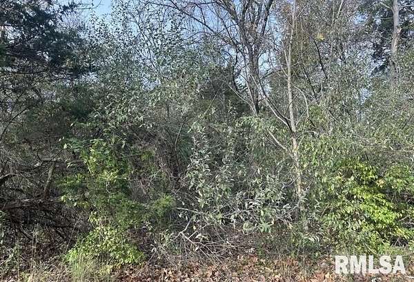 0.11 Acres of Residential Land for Sale in Goreville, Illinois