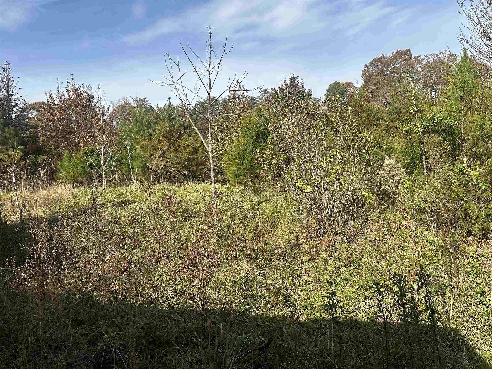 42.7 Acres of Recreational & Residential Land for Sale in Greer, South Carolina