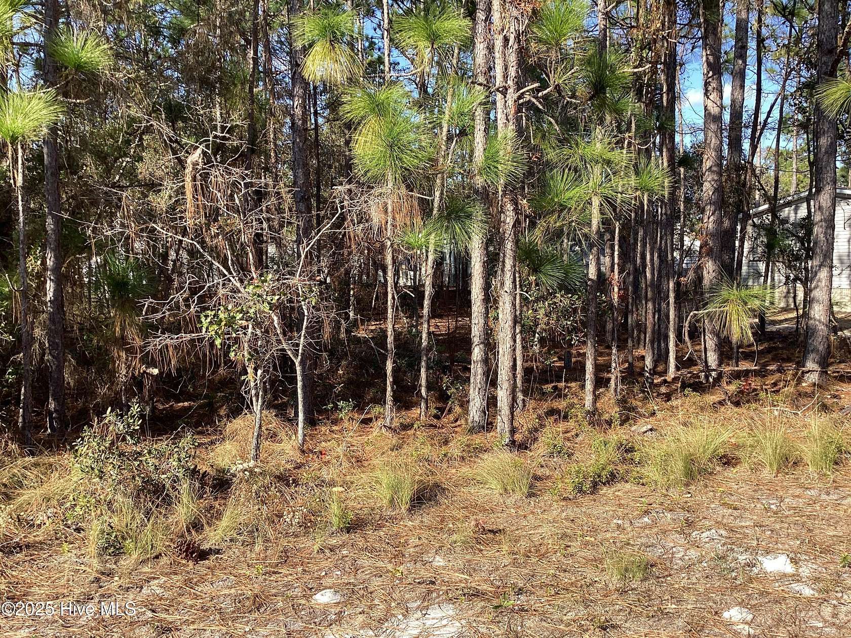 0.11 Acres of Land for Sale in Shallotte, North Carolina