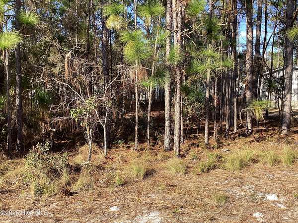 0.11 Acres of Land for Sale in Shallotte, North Carolina