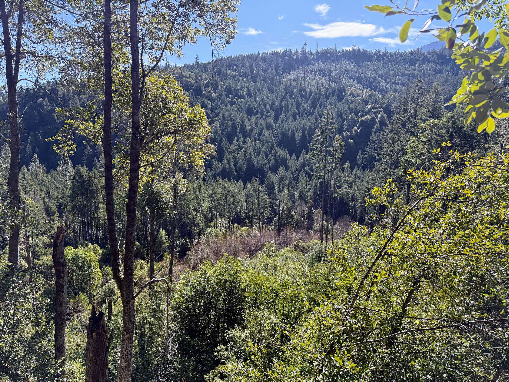 160 Acres of Recreational Land for Sale in Williams, Oregon