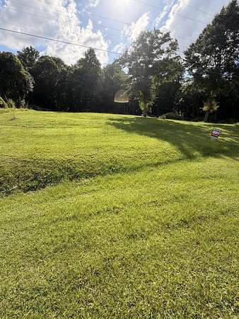 22 Acres of Recreational & Residential Land for Sale in Waverly Hall, Georgia