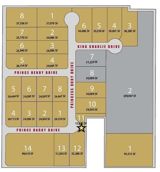 0.29 Acres of Commercial Land for Sale in Corpus Christi, Texas