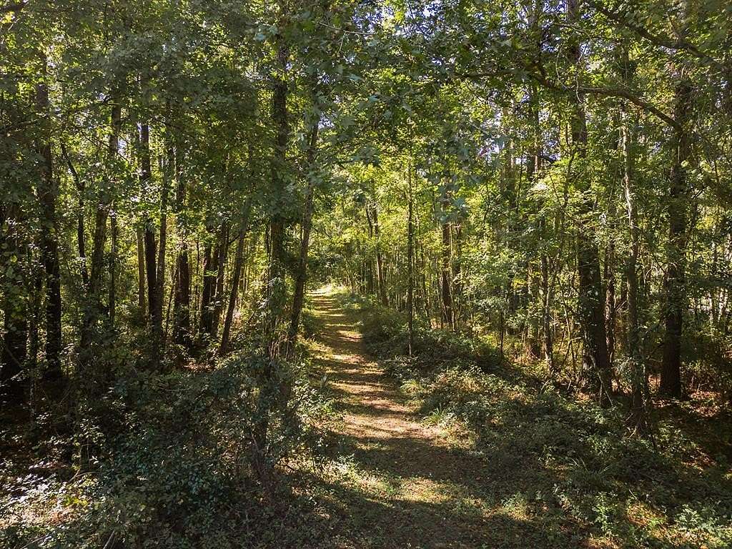 4.1 Acres of Residential Land for Sale in Alachua, Florida