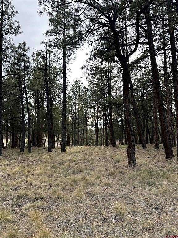 0.93 Acres of Residential Land for Sale in Ridgway, Colorado