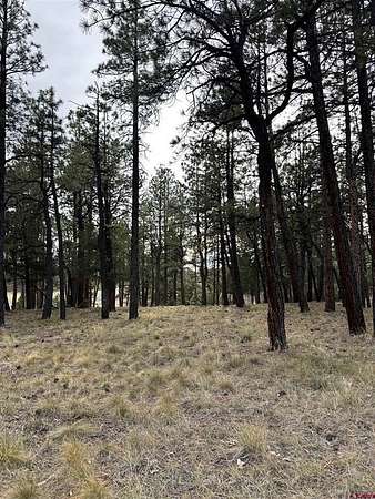 0.93 Acres of Residential Land for Sale in Ridgway, Colorado