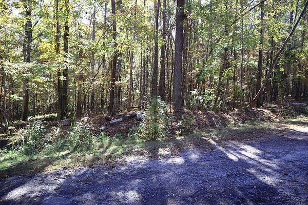 Residential Land for Sale in Sparta, Georgia