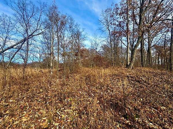 10 Acres of Recreational & Residential Land for Sale in Raccoon, Kentucky