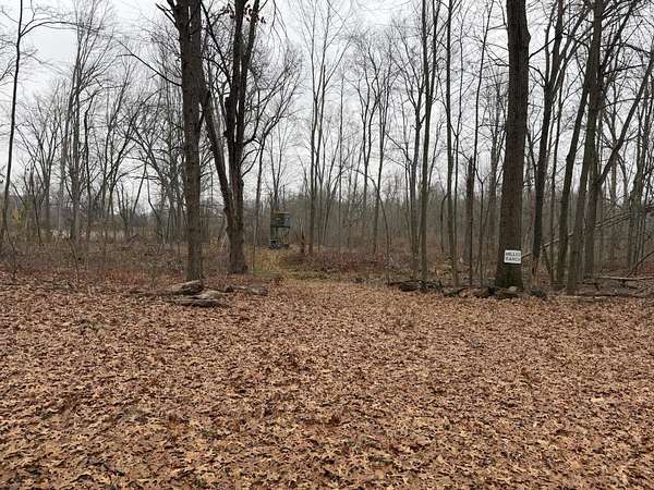 10 Acres of Land for Sale in Grass Lake, Michigan