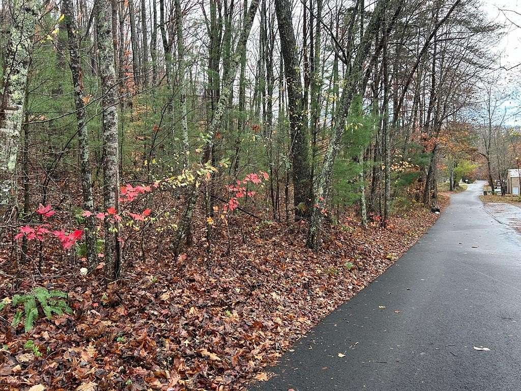 1.7 Acres of Land for Sale in Blairsville, Georgia