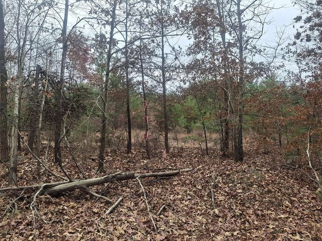 21 Acres of Recreational Land for Sale in Palmyra, Virginia