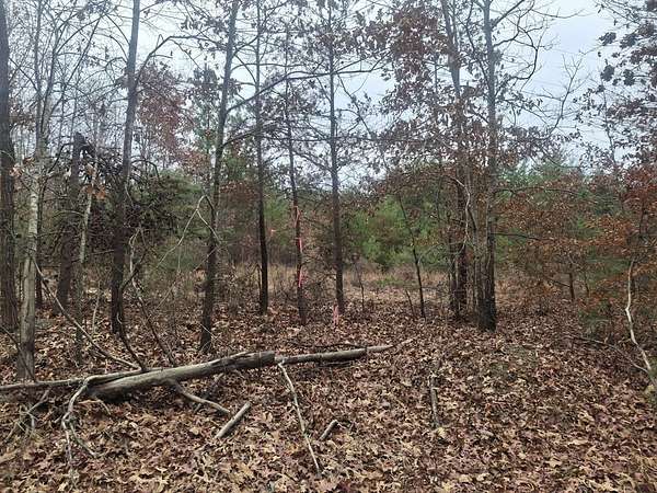 21 Acres of Recreational Land for Sale in Palmyra, Virginia