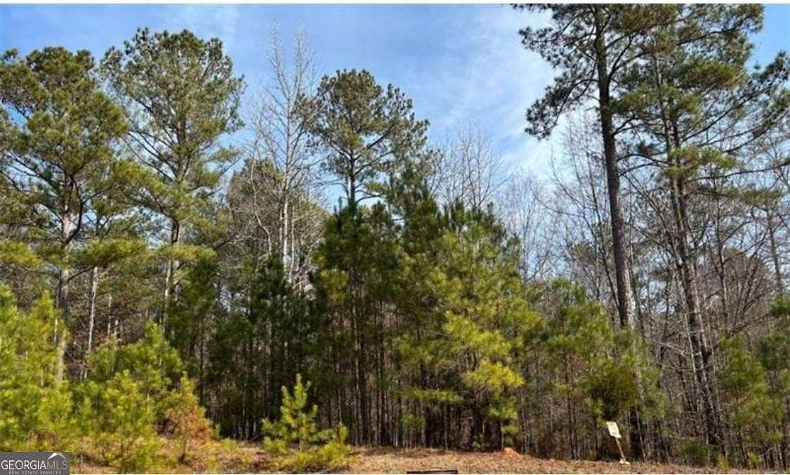3 Acres of Residential Land for Sale in Buckhead, Georgia
