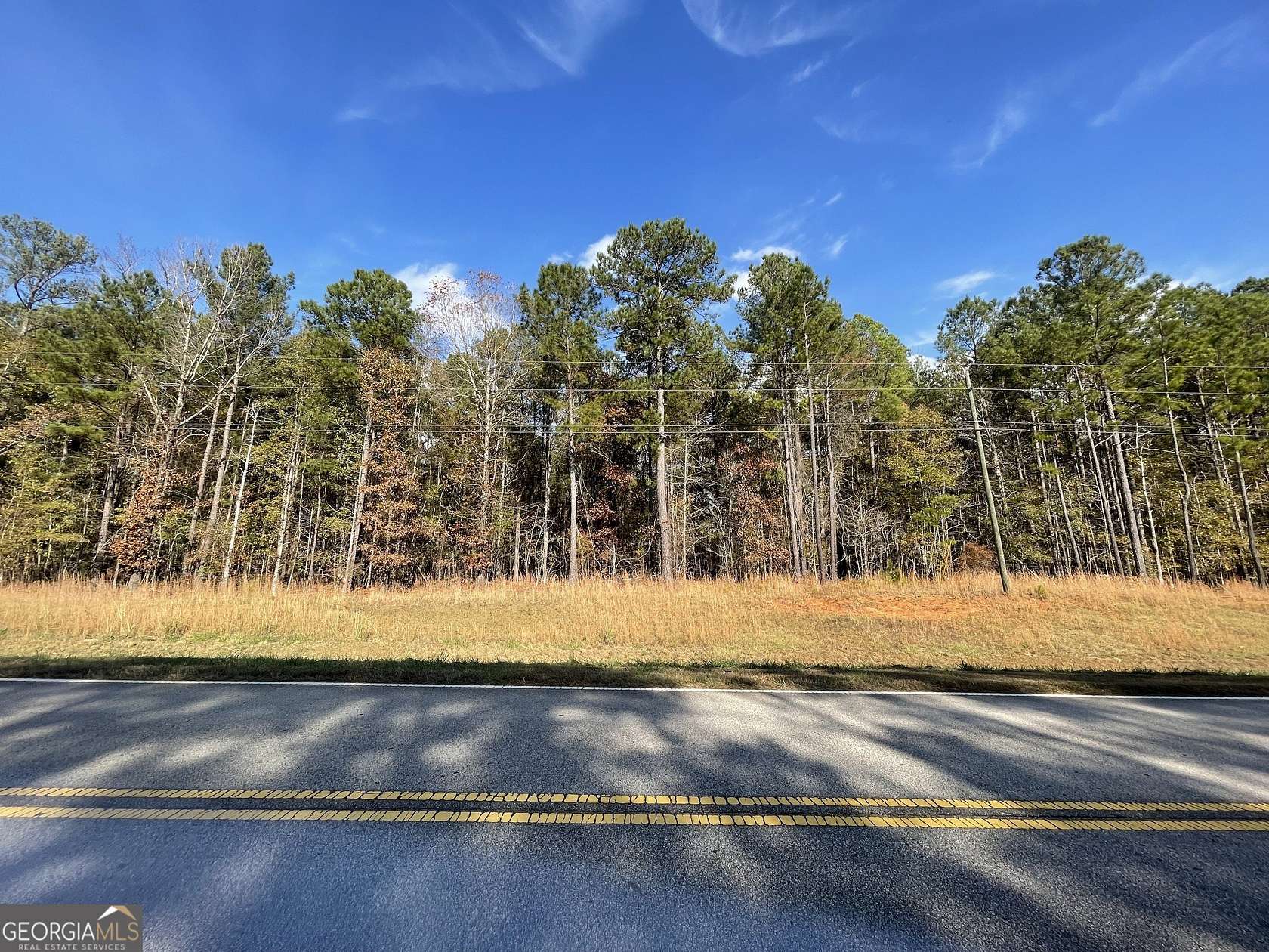 125 Acres of Land for Sale in Locust Grove, Georgia