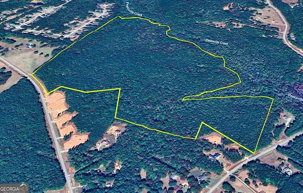 125 Acres of Land for Sale in Locust Grove, Georgia