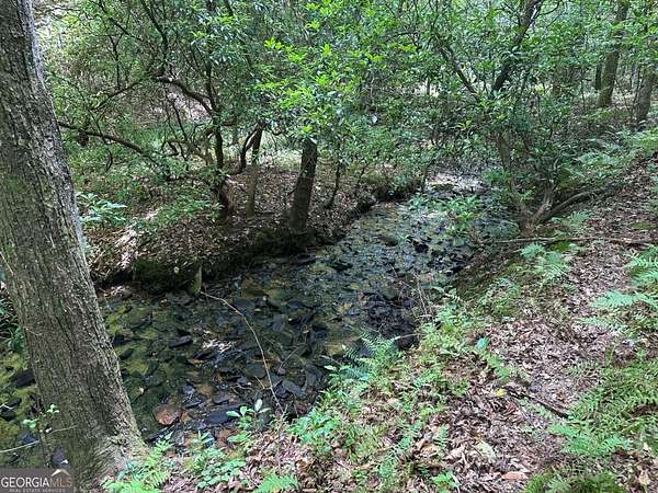 3 Acres of Land for Sale in Mineral Bluff, Georgia