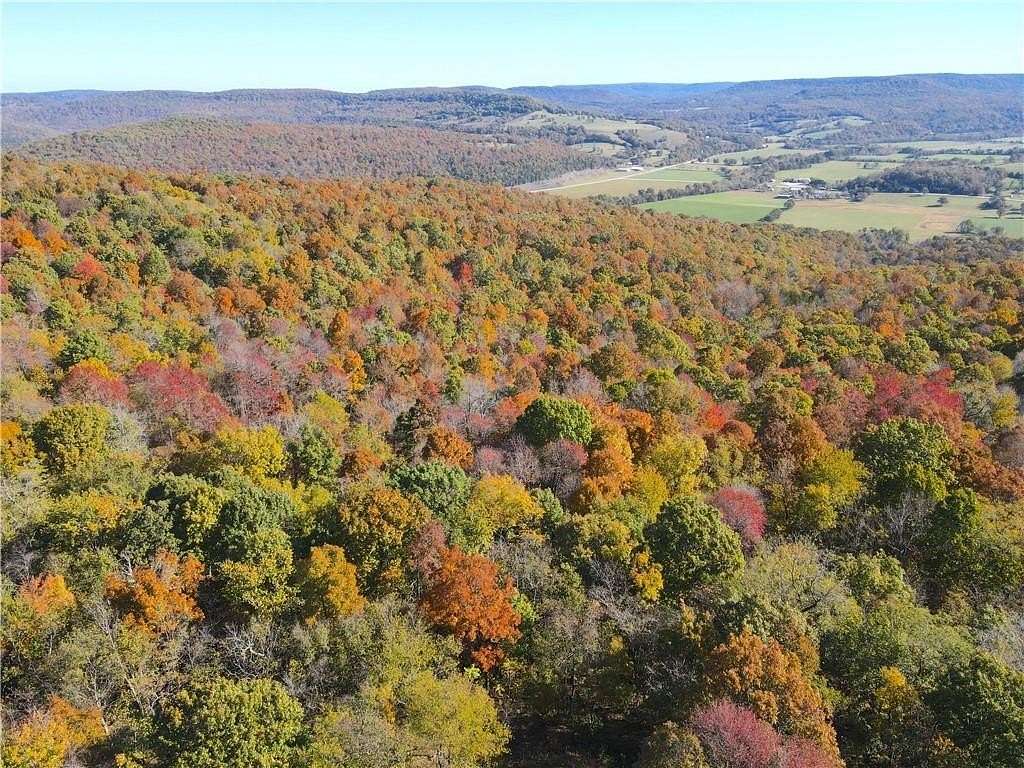 114 Acres of Recreational Land for Sale in Berryville, Arkansas