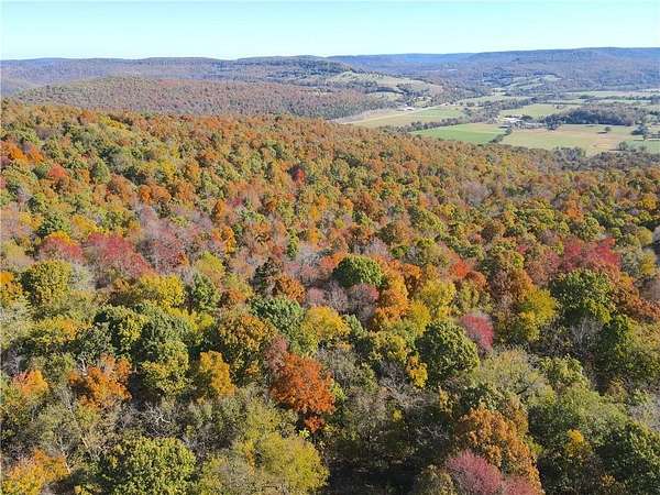 114 Acres of Recreational Land for Sale in Berryville, Arkansas