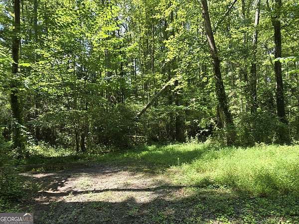 9.15 Acres of Land for Sale in Clarkesville, Georgia