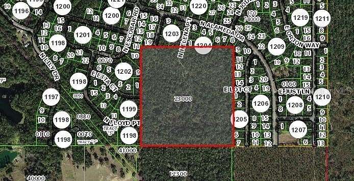 38.3 Acres of Agricultural Land for Sale in Citrus Springs, Florida
