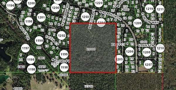 38.3 Acres of Agricultural Land for Sale in Citrus Springs, Florida