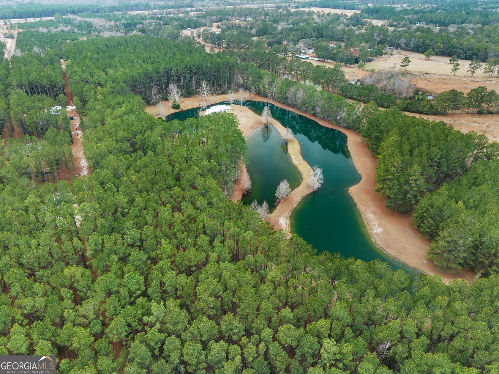 75.5 Acres of Recreational Land for Sale in Pembroke, Georgia