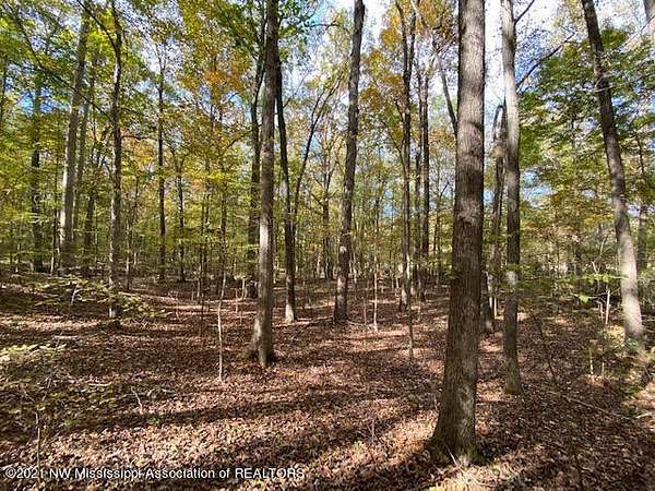 3.3 Acres of Residential Land for Sale in Byhalia, Mississippi