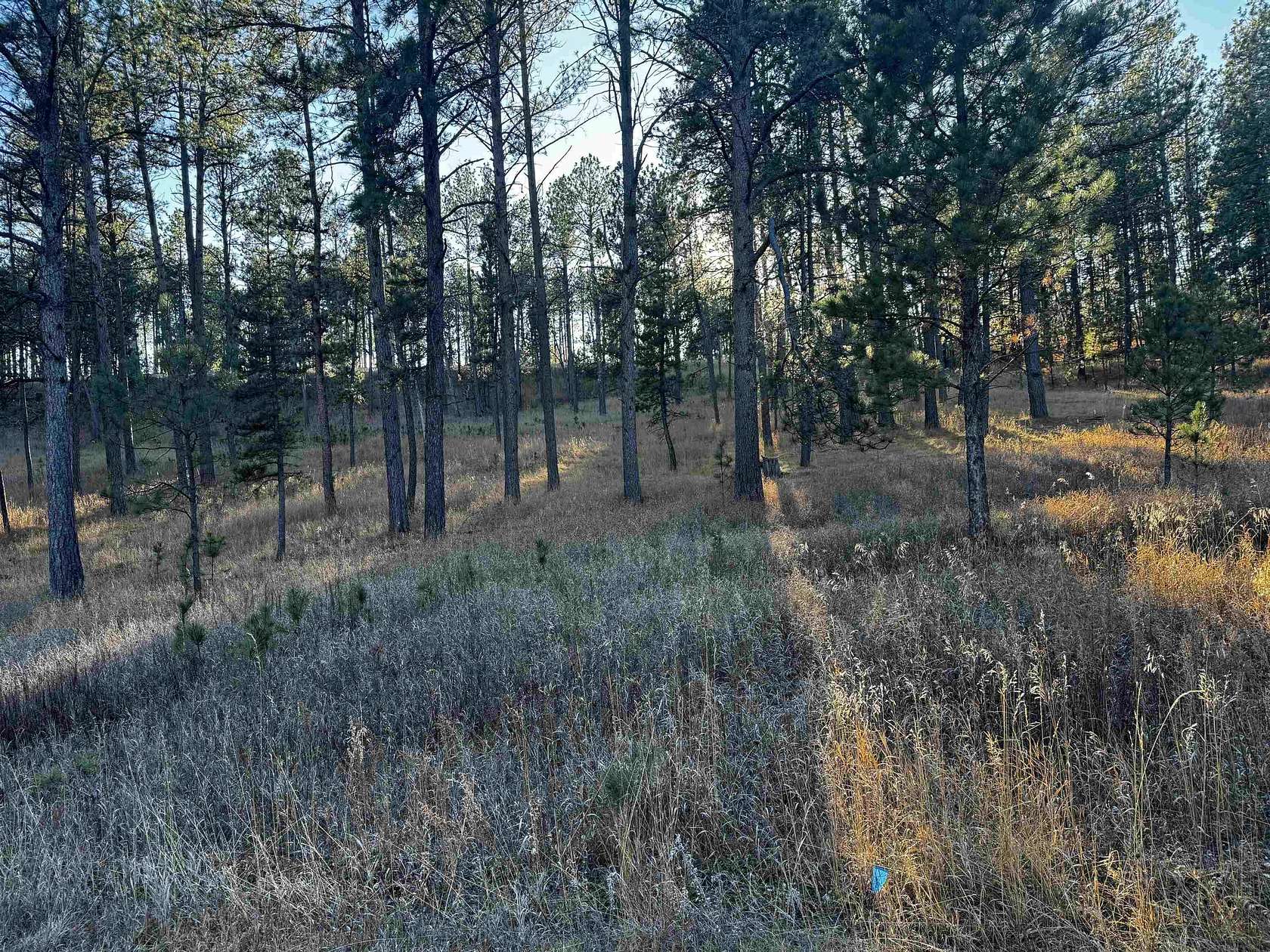1.7 Acres of Residential Land for Sale in Custer, South Dakota