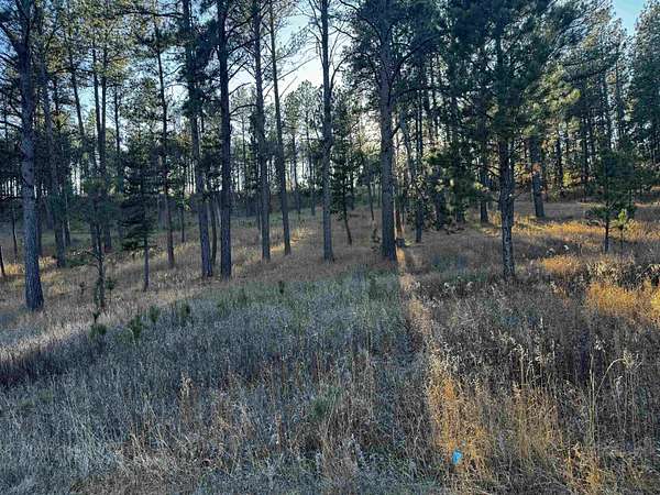 1.7 Acres of Residential Land for Sale in Custer, South Dakota