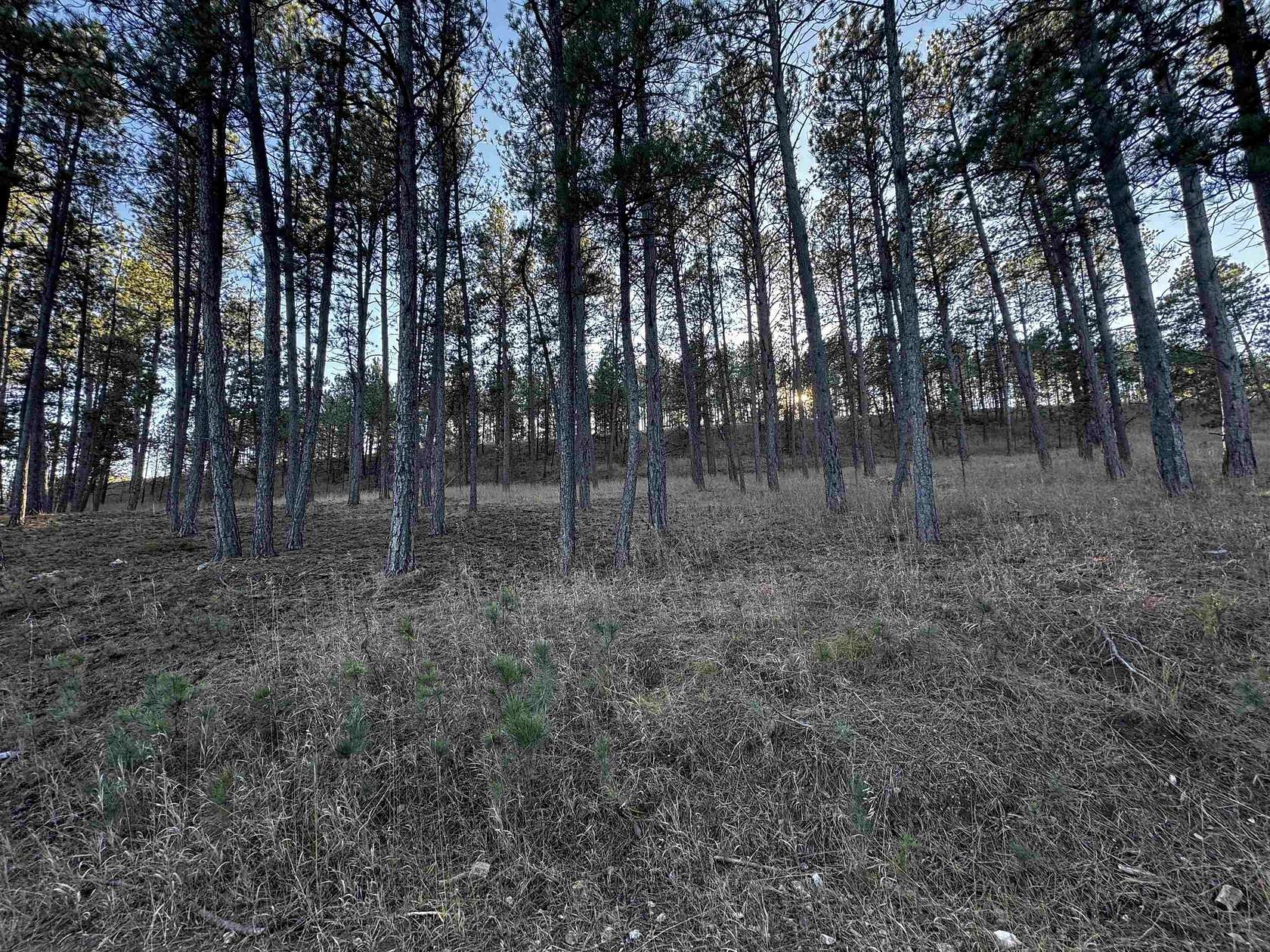 1.26 Acres of Land for Sale in Custer, South Dakota