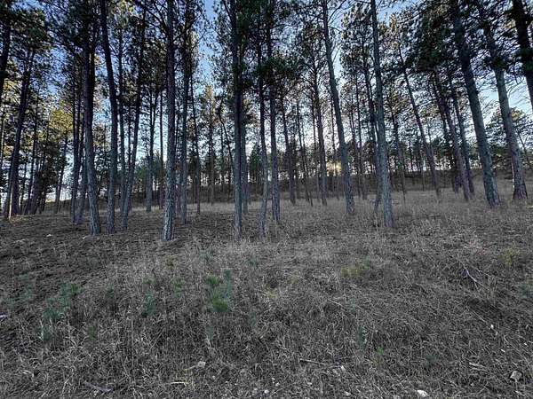 1.26 Acres of Land for Sale in Custer, South Dakota