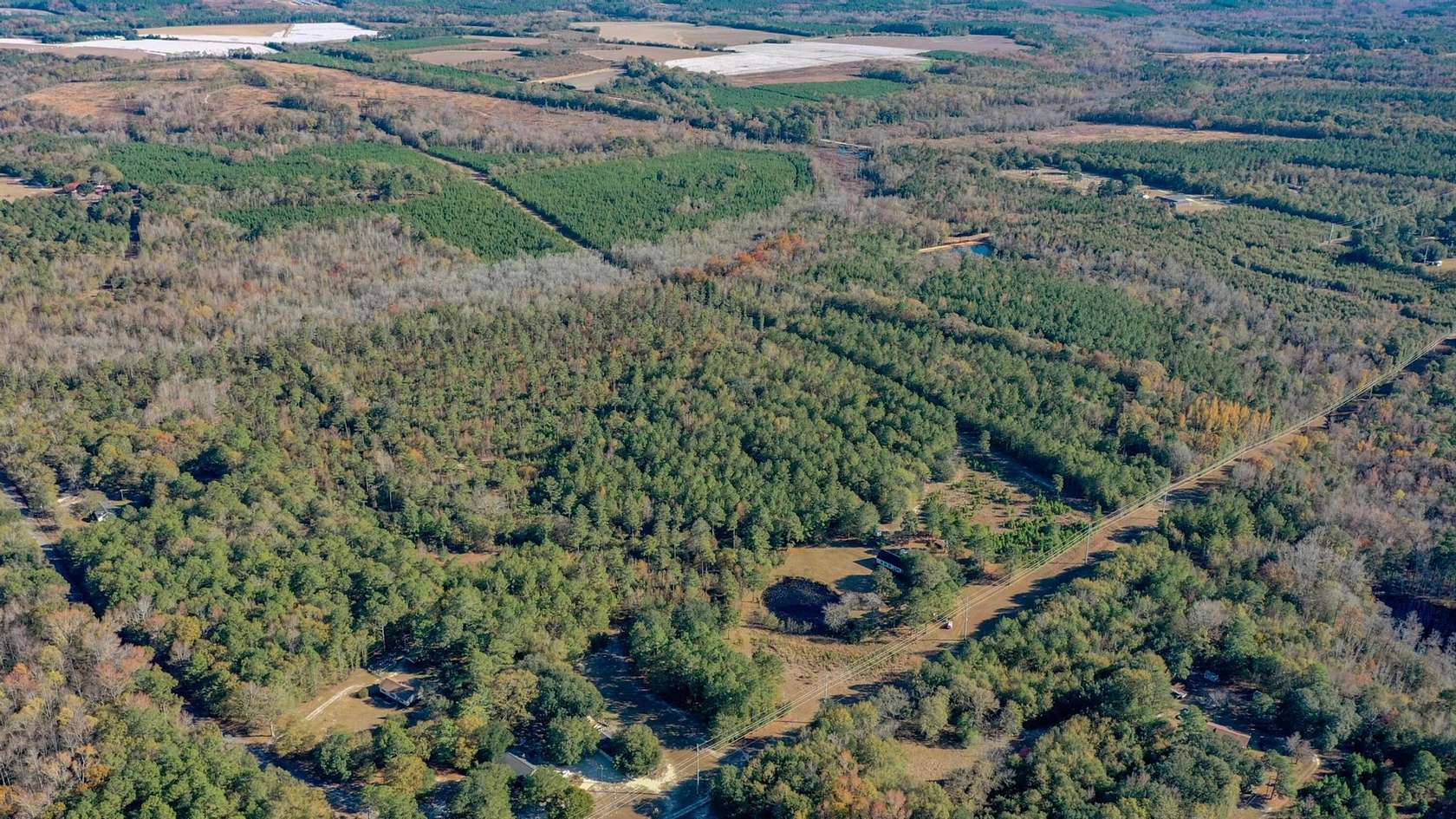 41.9 Acres of Recreational Land for Sale in Salley, South Carolina
