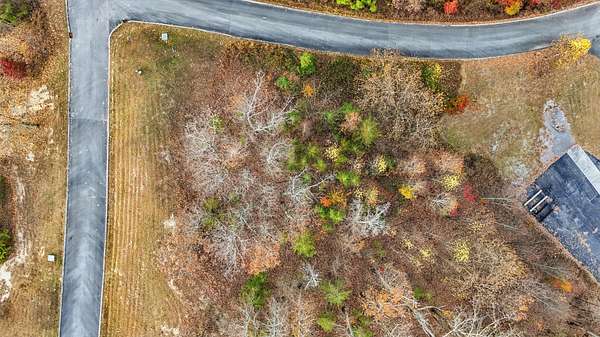 0.69 Acres of Residential Land for Auction in Spring City, Tennessee