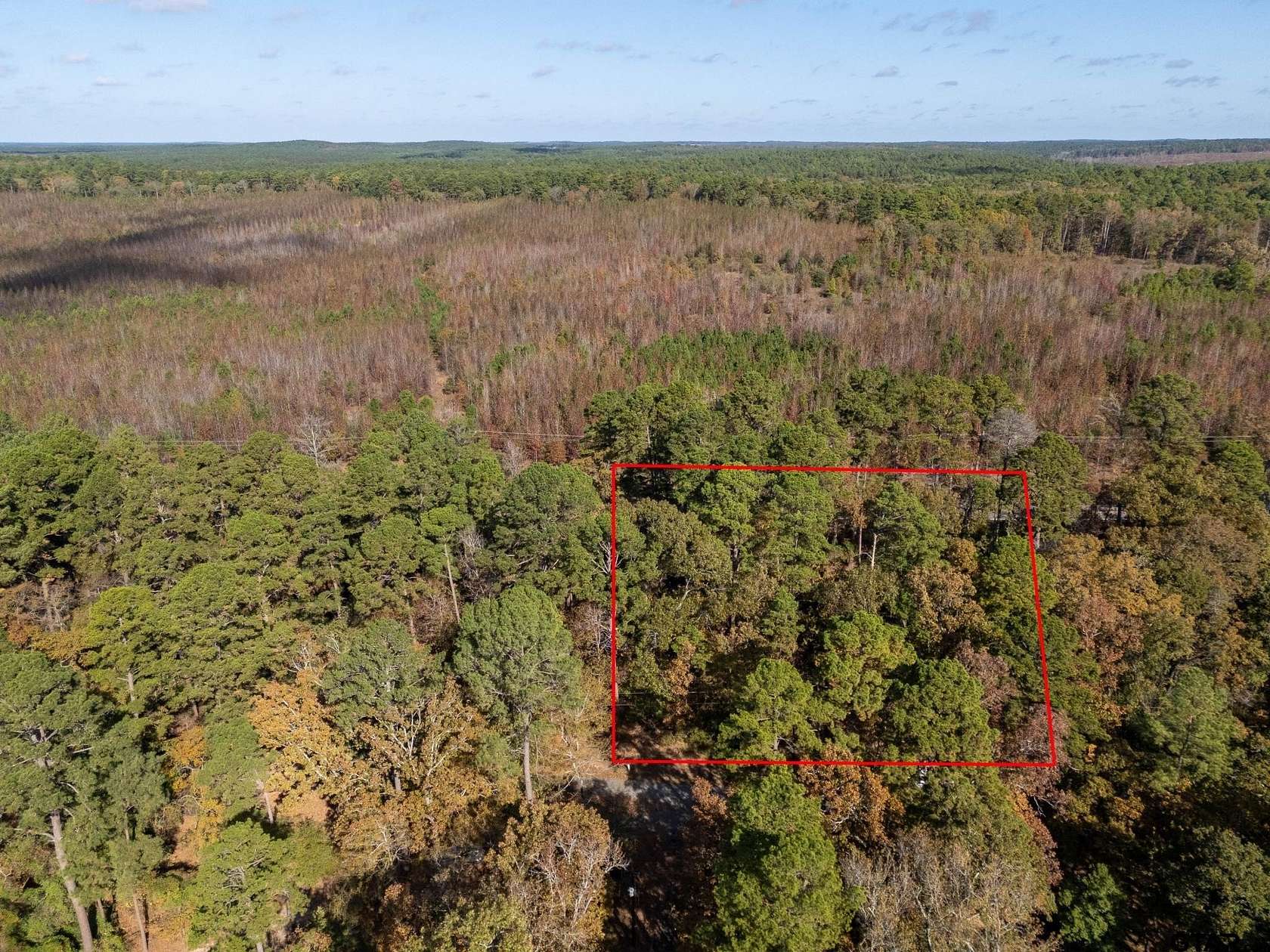 0.47 Acres of Land for Sale in Holly Lake Ranch, Texas