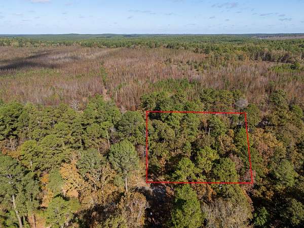 0.47 Acres of Land for Sale in Holly Lake Ranch, Texas